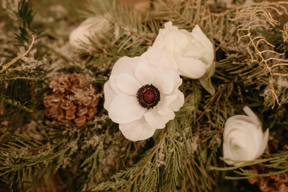 Fleurs
