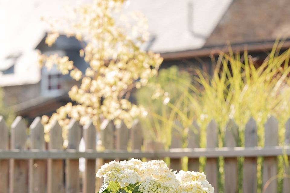 Jardin