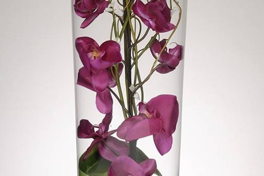 Vase cylindre d'orchidées