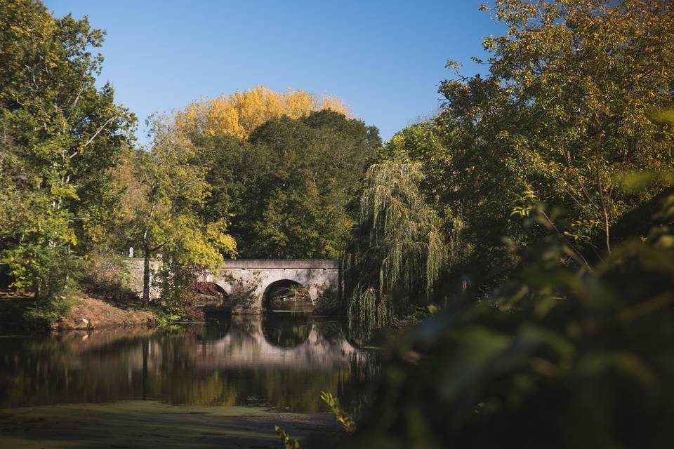 La Grange du Lay - cheminée