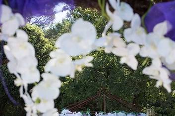 Cérémonie du Jardin