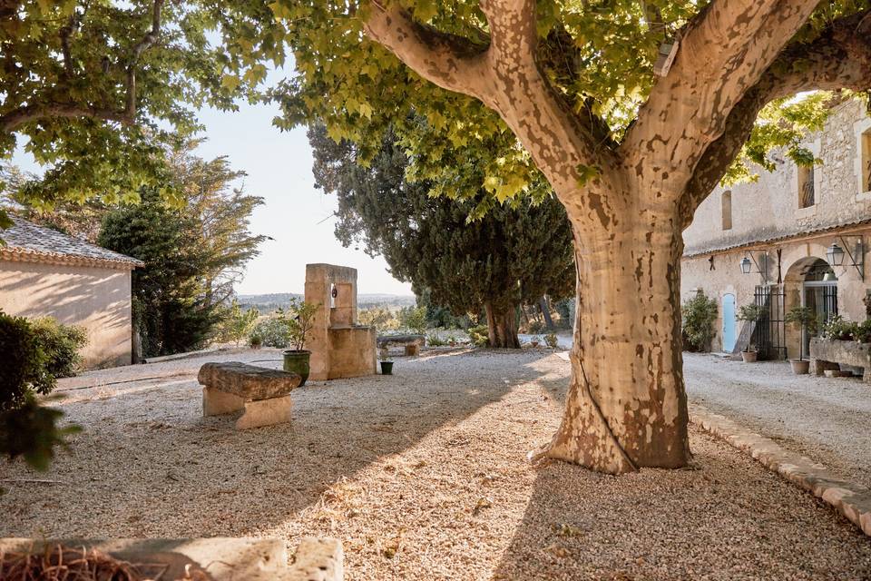 Le jardin du Moulin