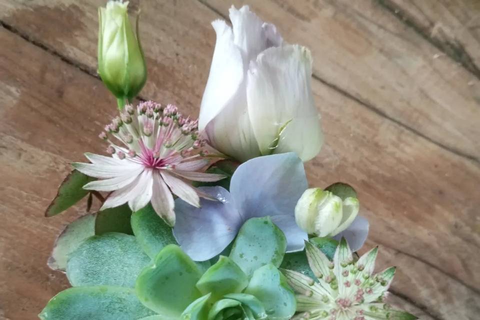 Boutonniere succulente