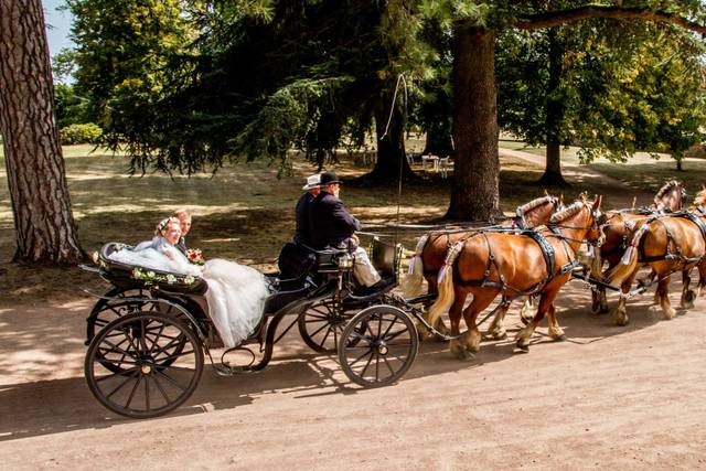 Parc du château de Chaumont
