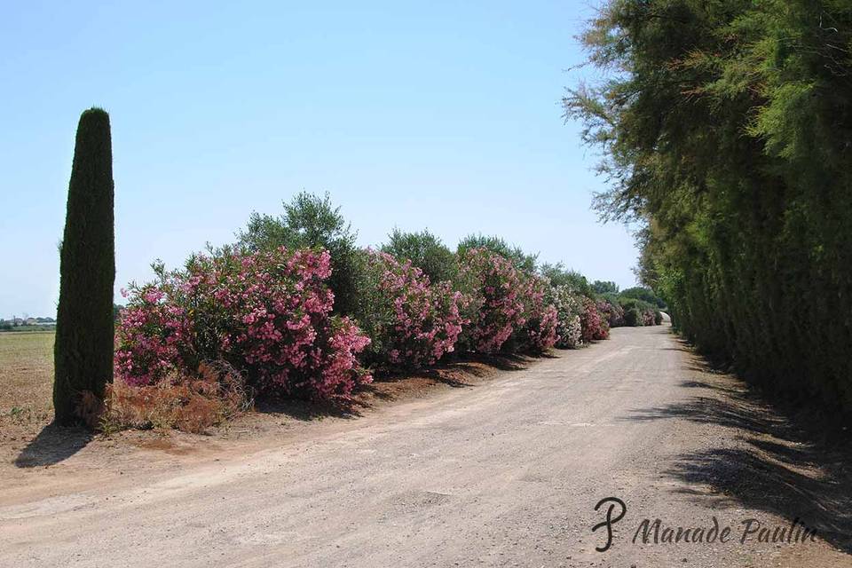 Chemin d'arrivée