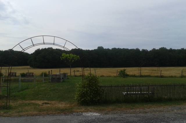 Vue sur jardin