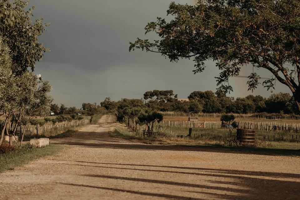 Autour du préau