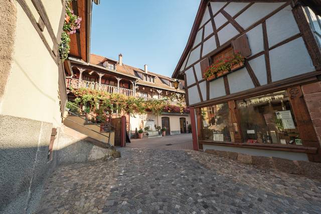 Le domaine en Alsace