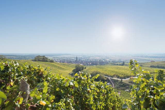 Dambach la ville
