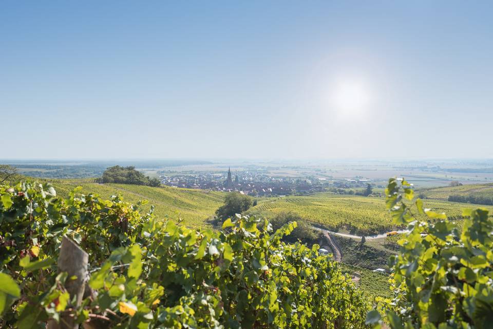 Dambach la ville