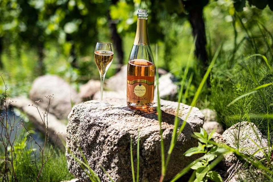 Notre crémant rosé