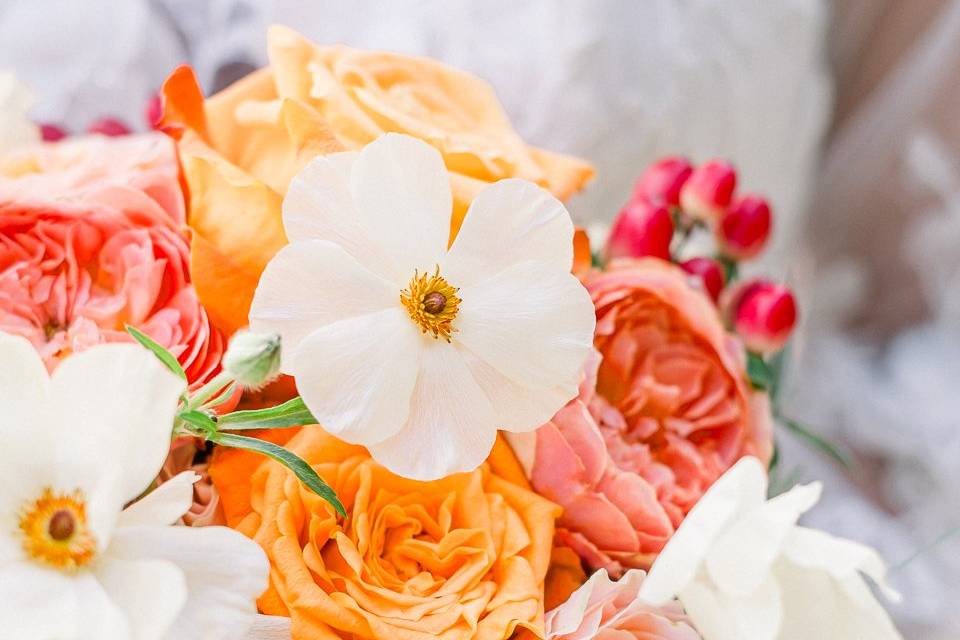 Fleurs