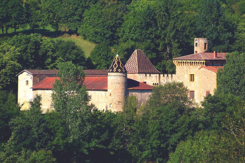 Château de Courbeville, Rhône