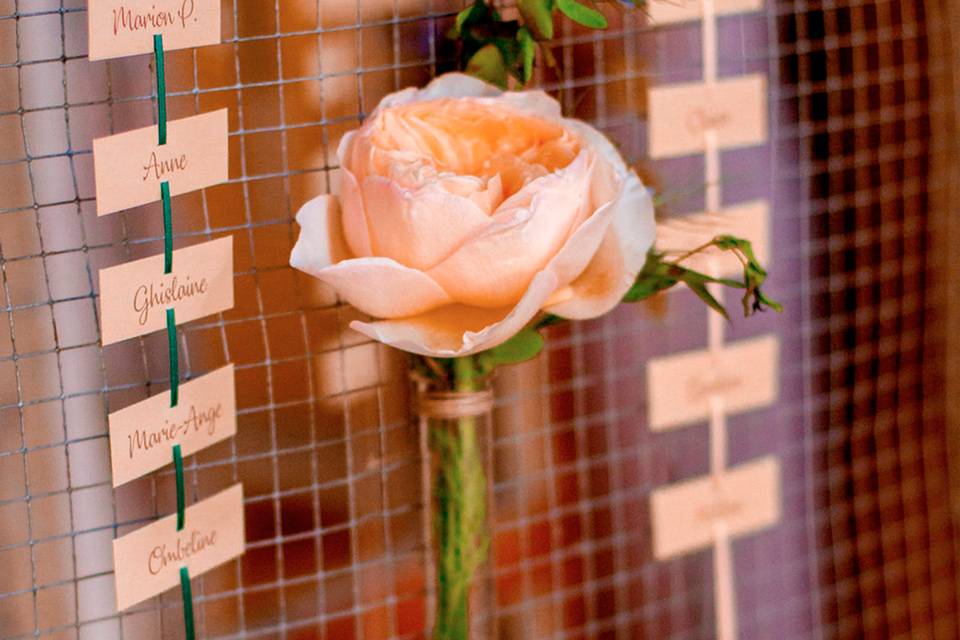 Single flower