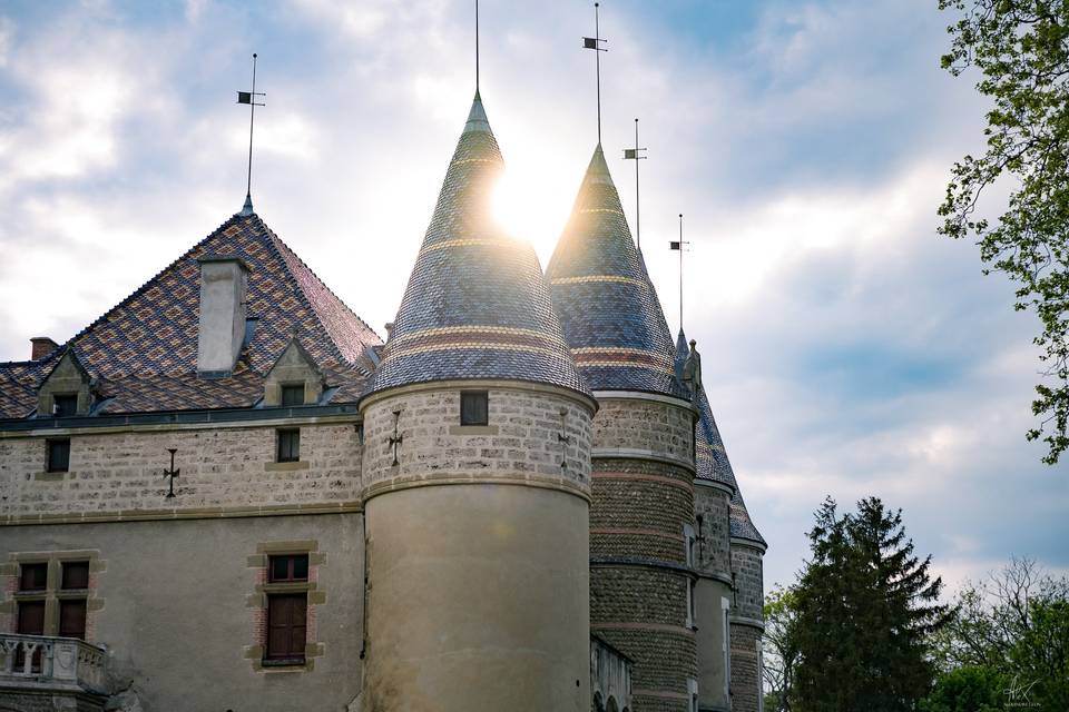 Chateau de pupetière