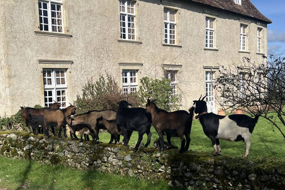 Habitants du domaine