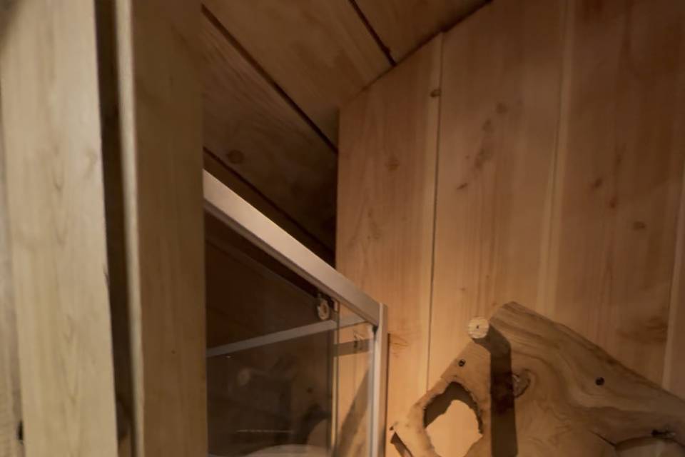 Douche (toilettes)