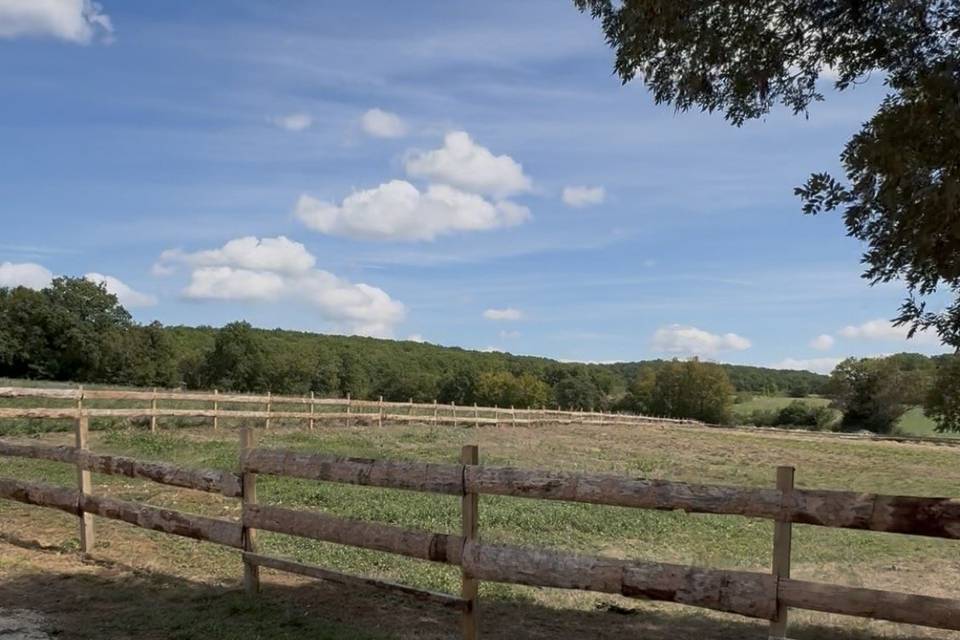 Parc poneys