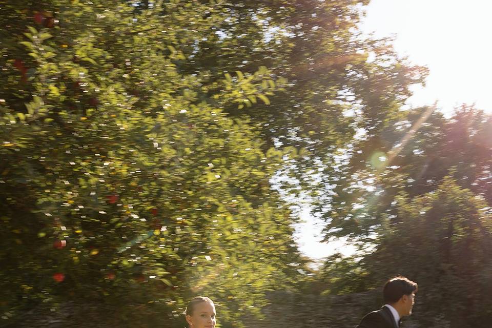Pauélia Wedding A&N