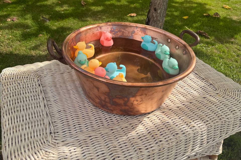 Pêche aux canards