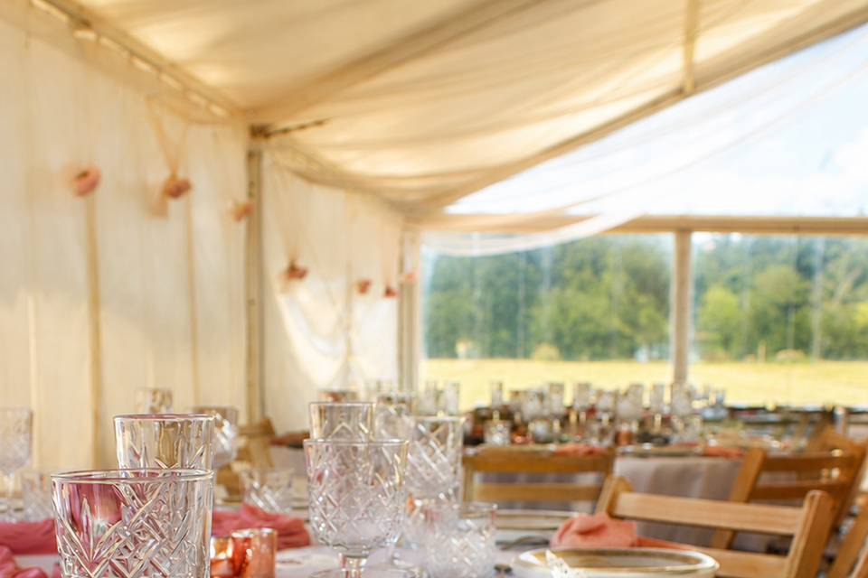 Photos