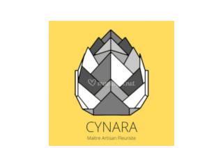 Cynara