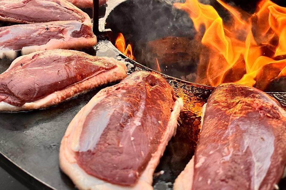 Magret de canard
