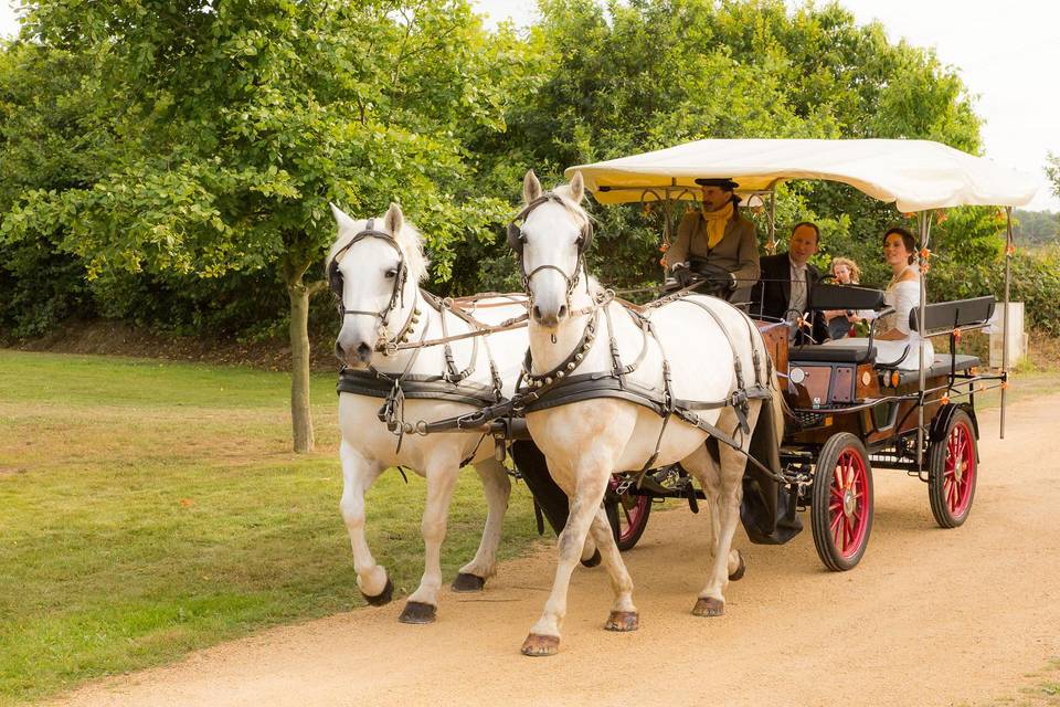 Calèche