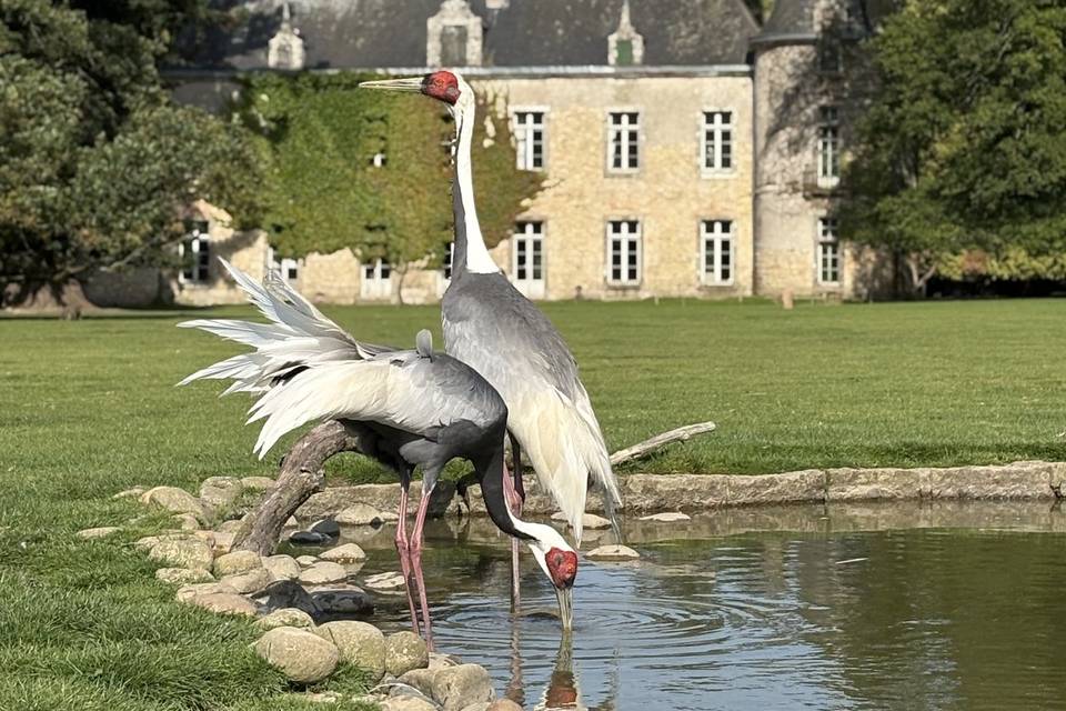 Branfere - Parc Animalier et Botanique