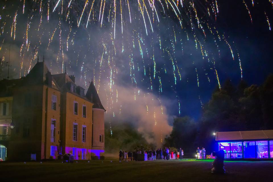 Feu d'artifice vaugrigneuse