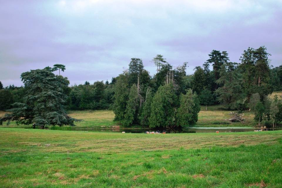 Vue sur l'étang