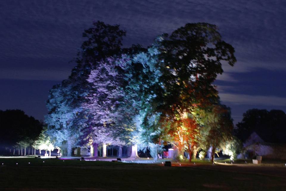 Illumination