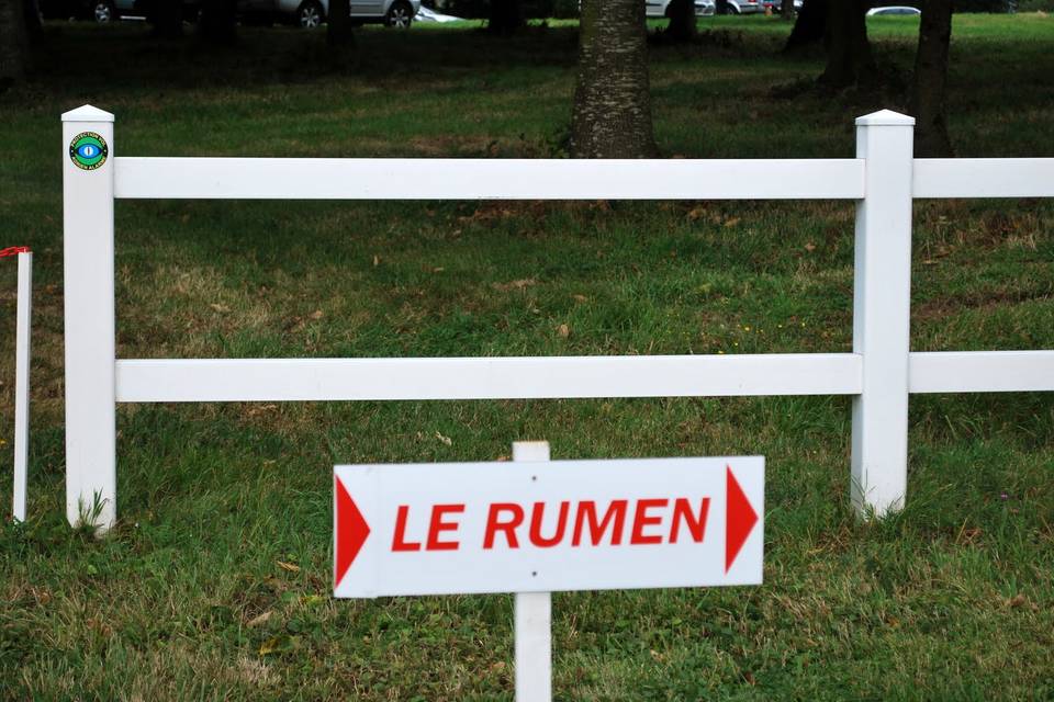 Direction parking