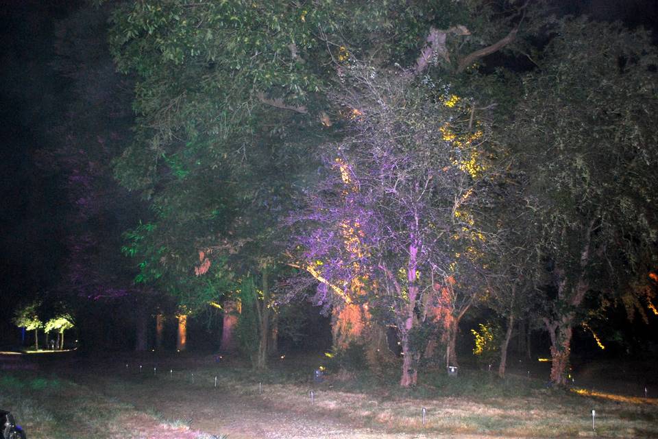 Illumination Parc