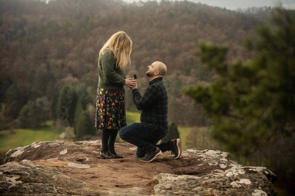The Proposal