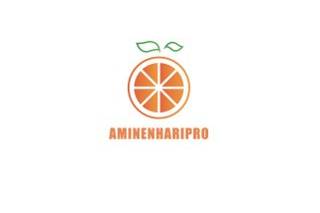 Aminenhari pro