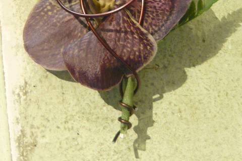 Boutonnière marié