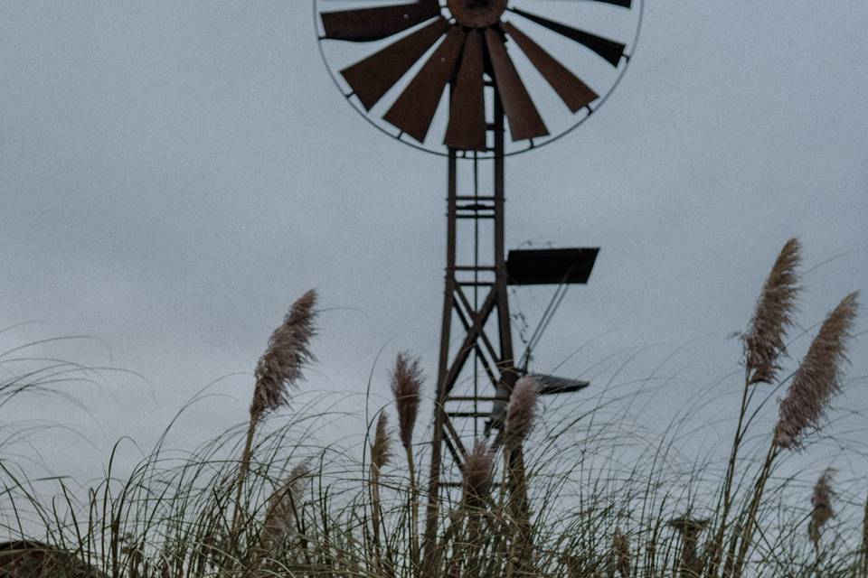 CélEye Photographies