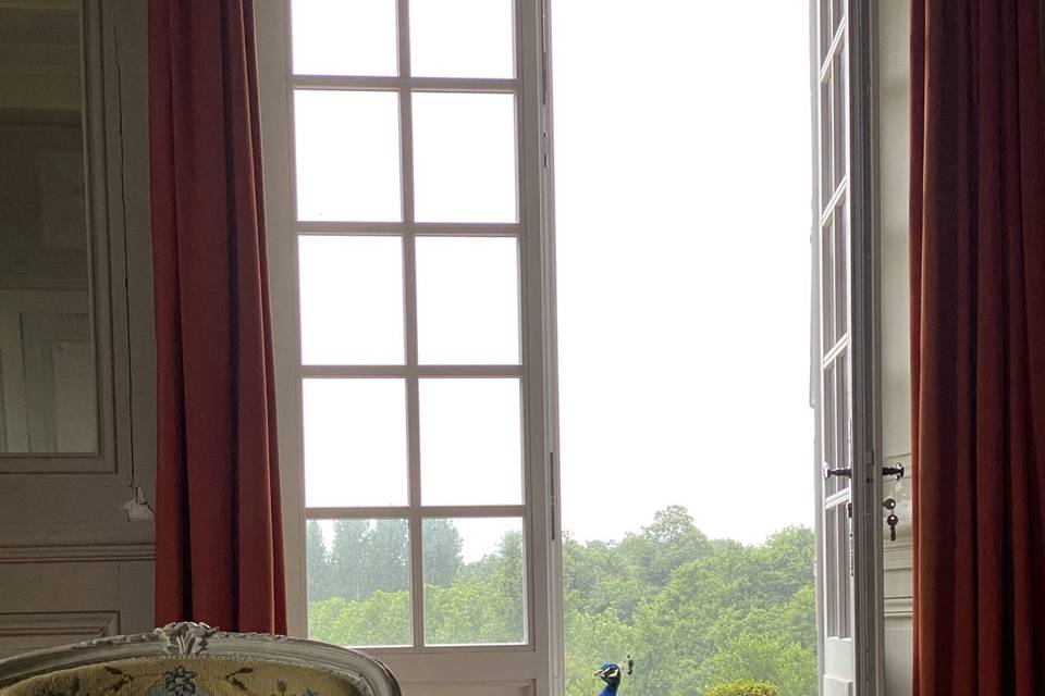 Les salons du château