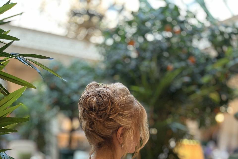 Chignon