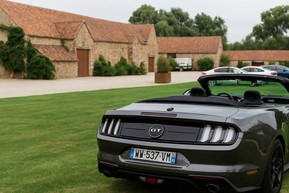 Mustang