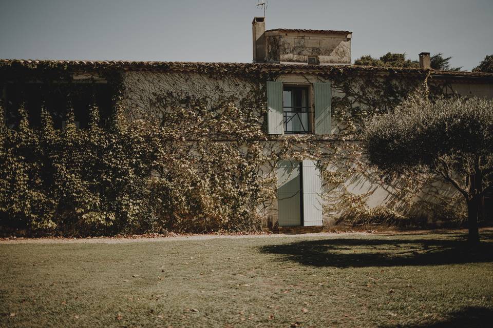 Le domaine