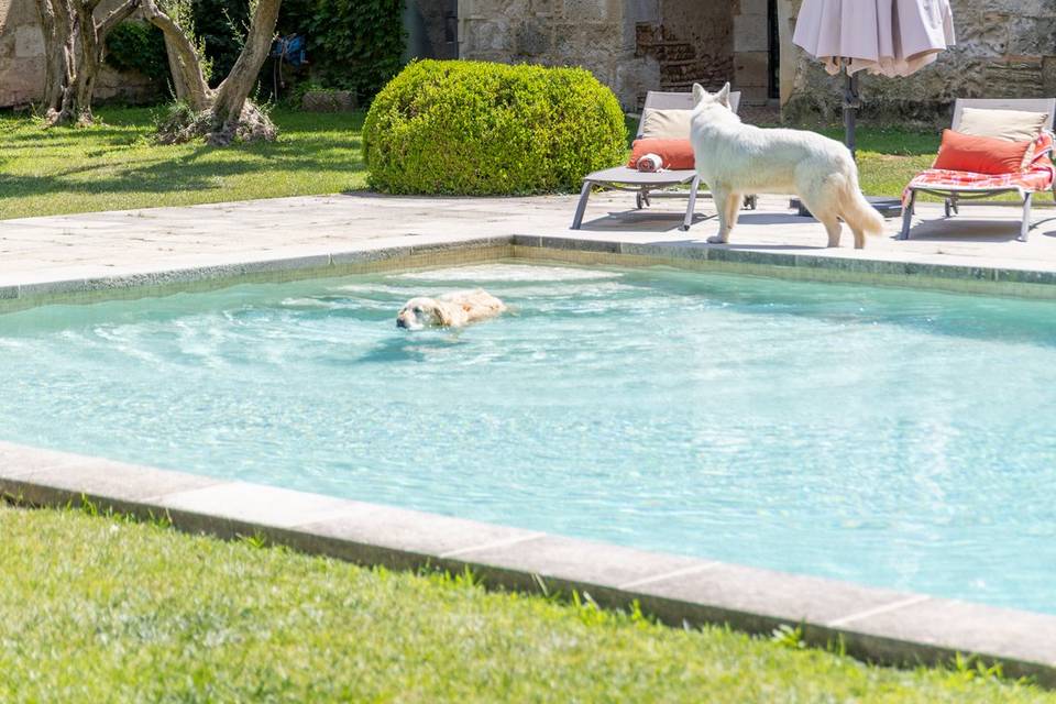 Piscine