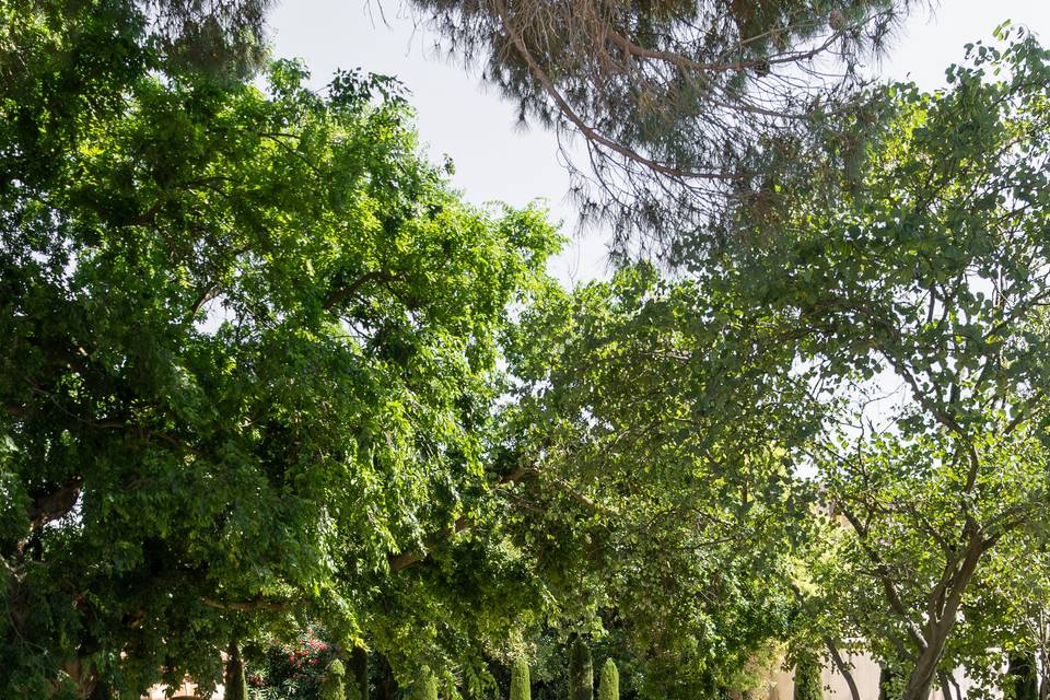 Terrain de pétanque