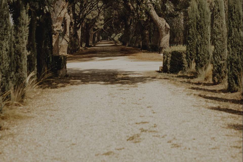 Allée