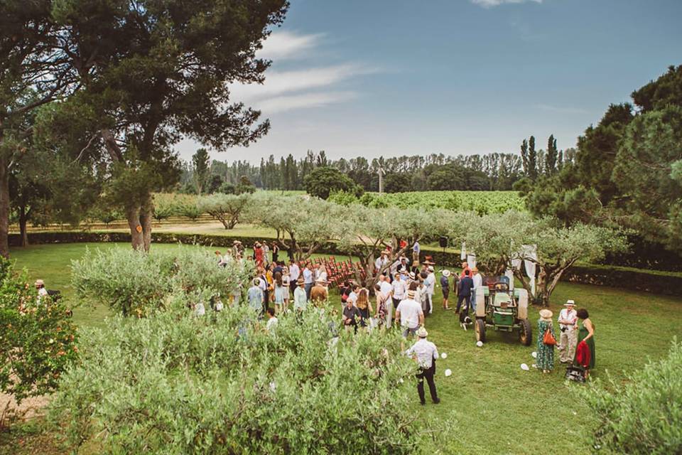 Jardin