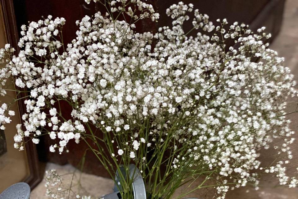 Arrosoir avec gypsophile