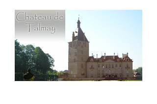 Château de Talmay. logo