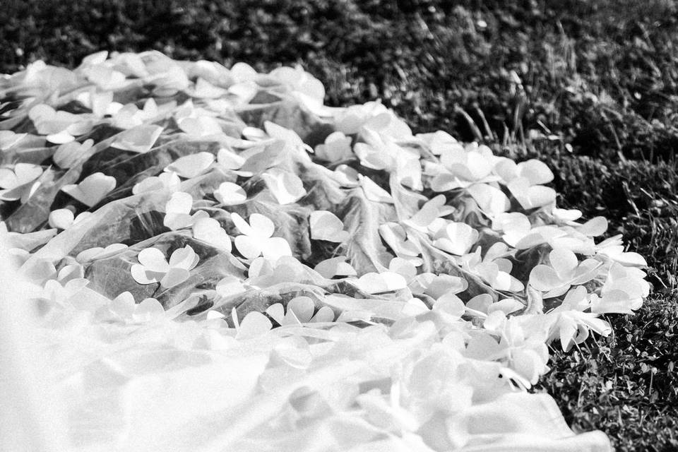 Voile de mariée