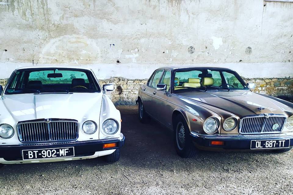 Jaguar XJ6 et Jaguar XJ12